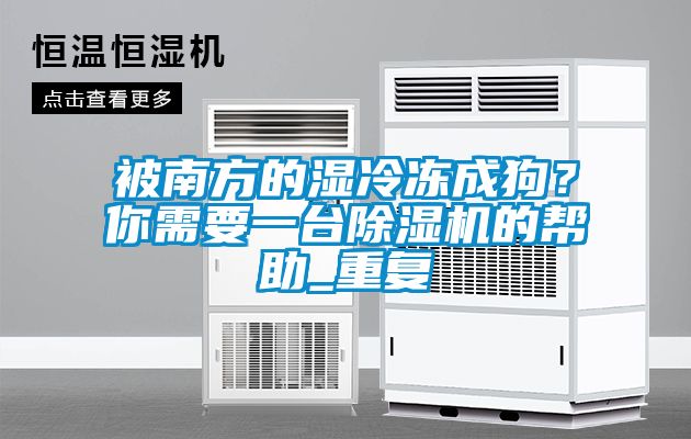 被南方的濕冷凍成狗？你需要一臺除濕機的幫助_重復(fù)