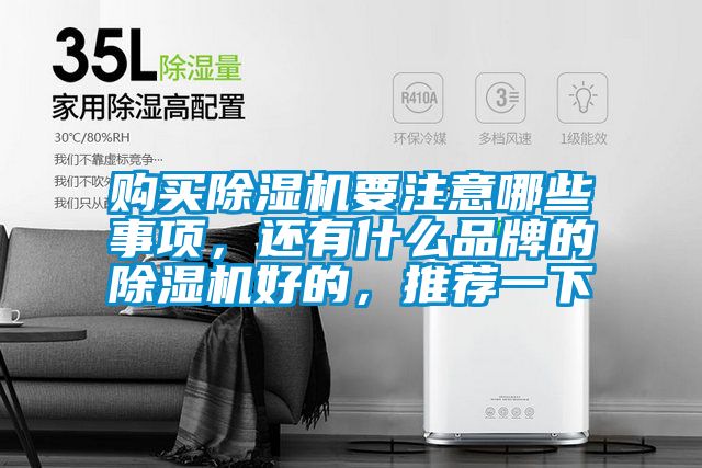 購(gòu)買除濕機(jī)要注意哪些事項(xiàng),還有什么品牌的除濕機(jī)好的,推薦一下