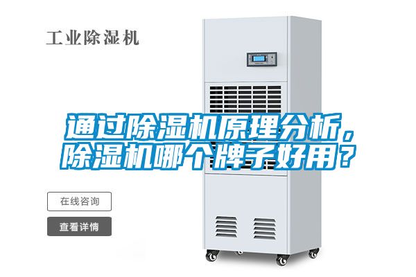 通過除濕機(jī)原理分析,除濕機(jī)哪個牌子好用?