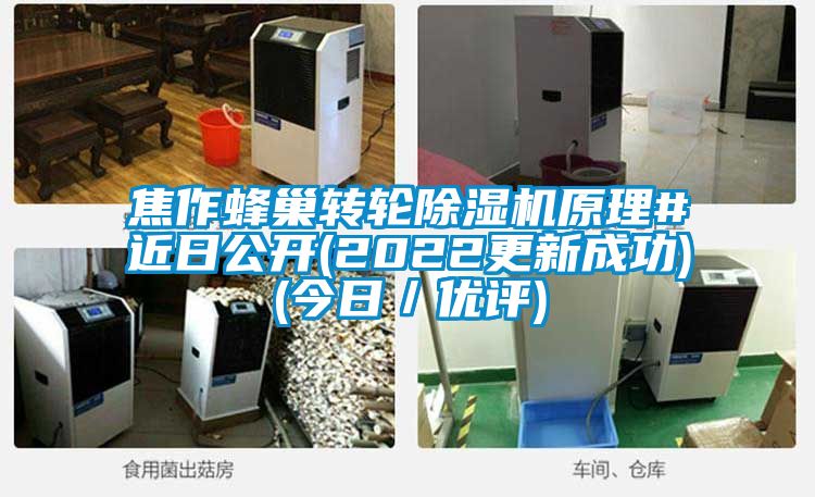 焦作蜂巢轉輪除濕機原理#近日公開(2022更新成功)(今日/優評)