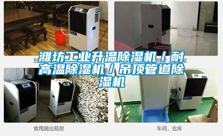 濰坊工業(yè)升溫除濕機/耐高溫除濕機/吊頂管道除濕機