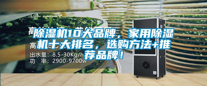 除濕機10大品牌，家用除濕機十大排名，選購方法+推薦品牌！
