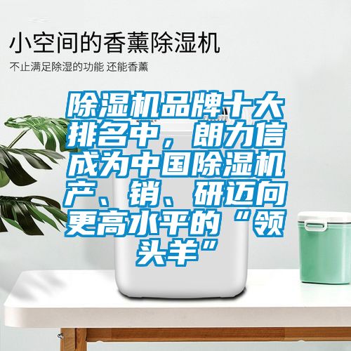 除濕機(jī)品牌十大排名中,朗力信成為中國除濕機(jī)產(chǎn)、銷、研邁向更高水平的“領(lǐng)頭羊”