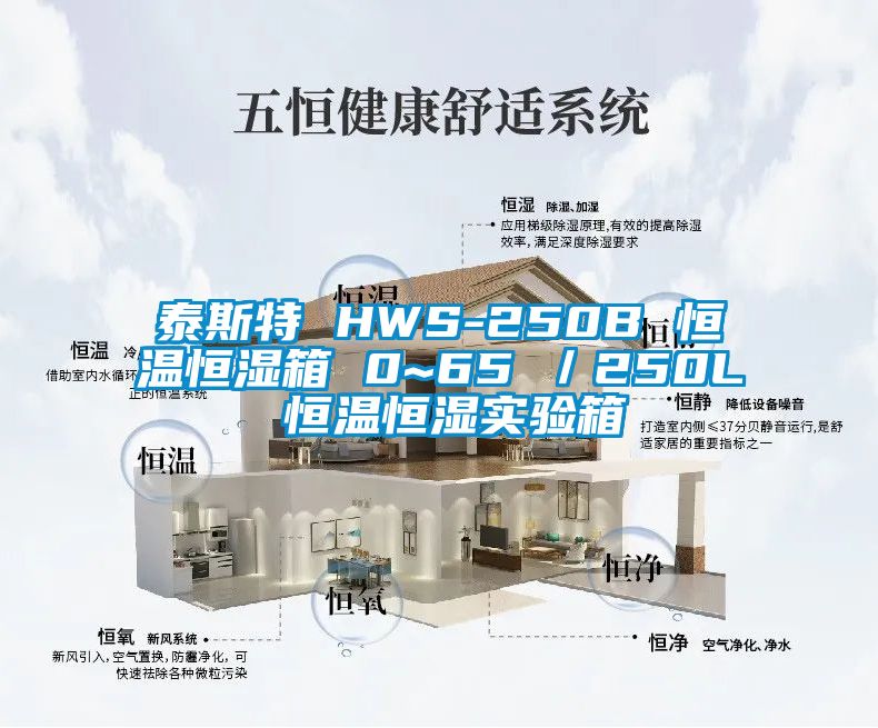 泰斯特 HWS-250B 恒溫恒濕箱 0~65℃/250L 恒溫恒濕實驗箱