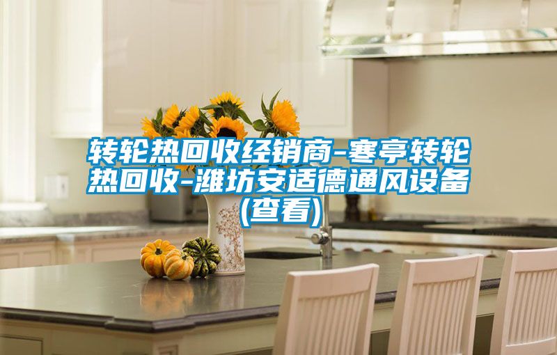 轉(zhuǎn)輪熱回收經(jīng)銷商-寒亭轉(zhuǎn)輪熱回收-濰坊安適德通風設備(查看)