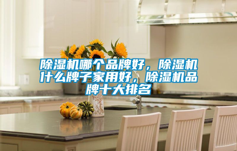 除濕機哪個品牌好，除濕機什么牌子家用好，除濕機品牌十大排名