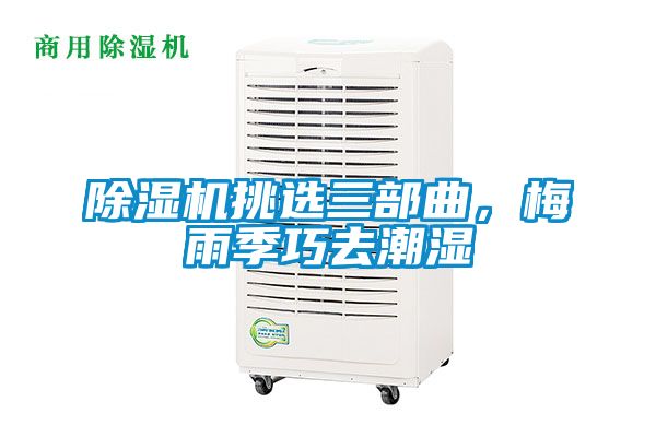 除濕機(jī)挑選三部曲，梅雨季巧去潮濕