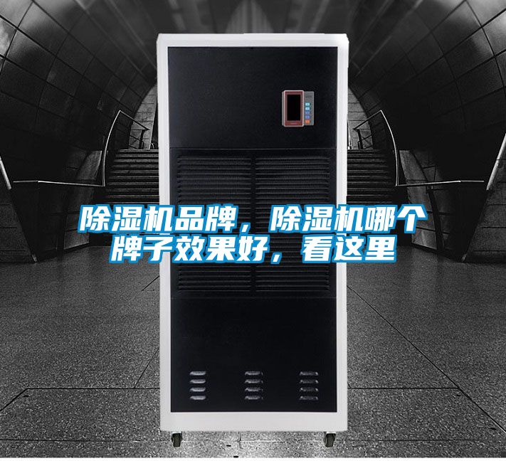 除濕機品牌，除濕機哪個牌子效果好，看這里