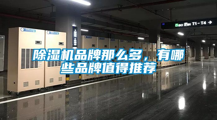 除濕機(jī)品牌那么多，有哪些品牌值得推薦