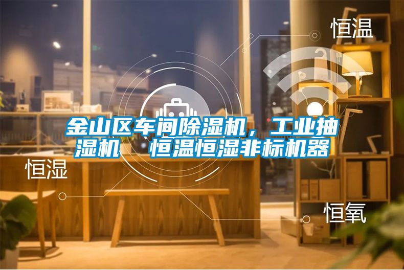 金山區(qū)車間除濕機(jī),工業(yè)抽濕機(jī) 恒溫恒濕非標(biāo)機(jī)器