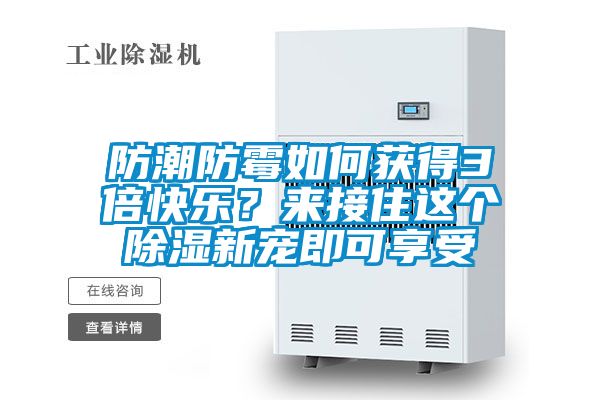 防潮防霉如何獲得3倍快樂?來接住這個除濕新寵即可享受