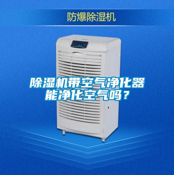 除濕機帶空氣凈化器能凈化空氣嗎?