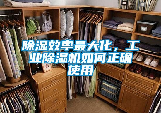 除濕效率最大化,工業(yè)除濕機(jī)如何正確使用