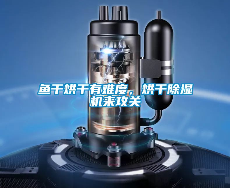 魚干烘干有難度，烘干除濕機來攻關